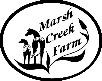 MCF Logo